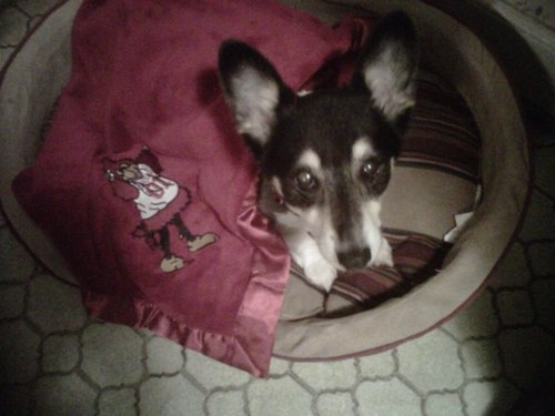 jtw21953's profile picture. A Gamecock in New Orleans.