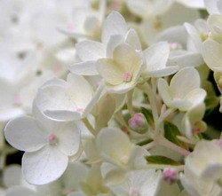 GOLOHOT's profile picture. job;architect/// interest;golf/oil painting/// hiking & life :)