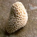 Philip Alston - @PhilAlst05 - Twitter