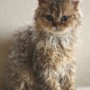 susie marsh - @susie_marsh - Twitter