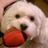 Plfdsportsmom's profile image