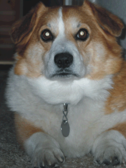 legaldocs4less's profile picture. Legal Documents For Less