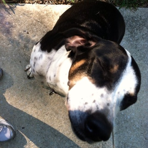 cbfrazer's profile picture. Episcopal priest in the Diocese of Alabama