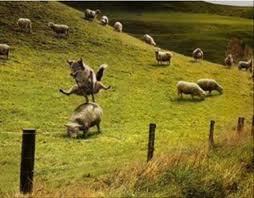 huyur6623's profile picture. キムタクが好きです♡
あとラーメンズも好きwwww