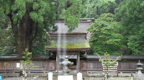 休日は、社寺・古墳巡りをしてこの国の始まり探訪しています。お寺では、仏像とのお話を楽しみにしています。音楽も大好きでコンサートへも良く行きます。美味しいもの食べに行ったり、作ったりも大好きです。