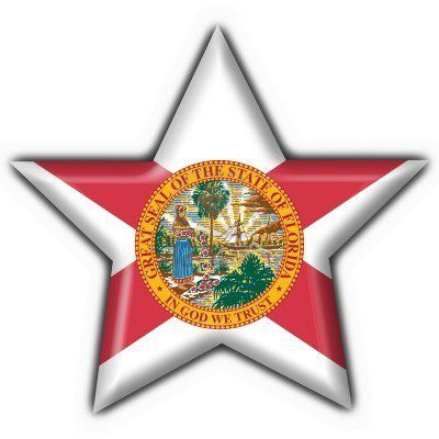 The objective of Socialist Party of Florida, is to bring together Florida socialists that would otherwise never speak, meet, or collaborate.