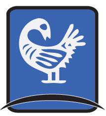 The OFFICIAL Twitter page of Duke University's Black Graduate and Professional Student Association (BGPSA)