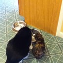 Dale Verbits - @DaleVerbits - Twitter