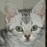 kazutada-k (@kazutadak) Twitter profile photo