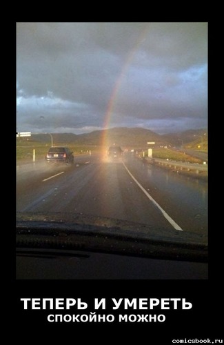 config_tweet's profile picture. 