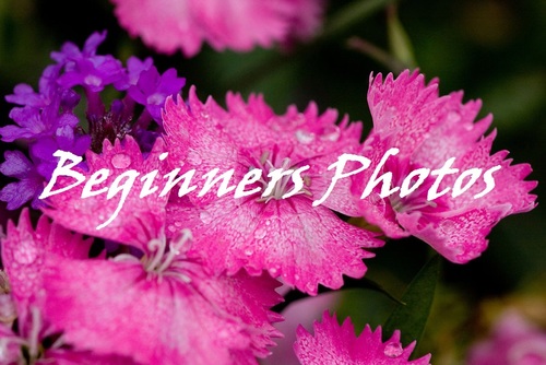 Beginners Photos is not only for beginner photography. Dont let the name fool you. Its for every type of photographer!!!