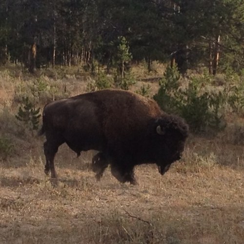 Komo_Shady's profile picture. ain't no twitter in heaven