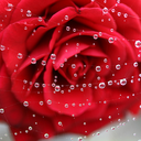 MARIAH DOUGLAS - @DEYCALLMEHMDOUG - Twitter