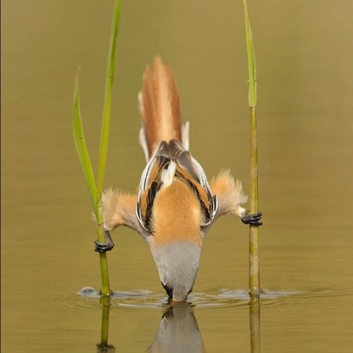 AbuMuyid's profile picture. ‏ربي اني ظلمت نفسي فالم تغفرلي لاكونن من الخاسرين