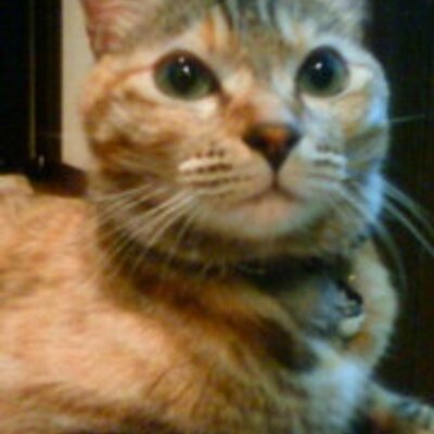Miki Ngsw A Twitter Pamyurin 私も去年転んで顎を縫う怪我をしました ぱっくりいってたみたいなんで傷が残らないように傷口の中だけ縫って外はテープでくっつけてました 笑ったり食べる時痛むしお風呂も大変だけど 早く治るように祈ってます 紅白たのしみにし