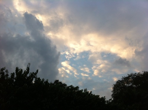 powcharles's profile picture. 