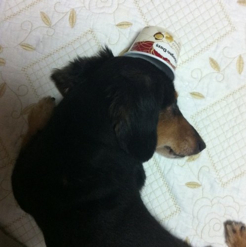 yuuumin63's profile picture. 