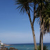 Blue Sky St Ives (@blueskystives) Twitter profile photo Blue Sky St Ives (@blueskystives) Twitter profile photo