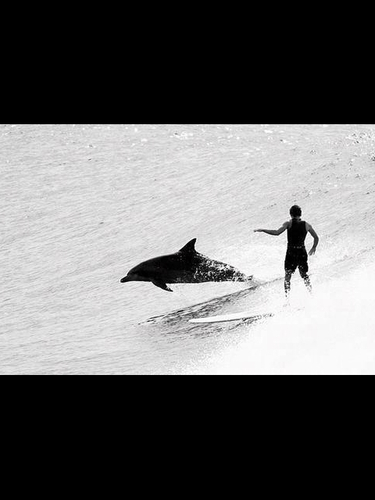 Born in Whyalla now live in Adelaide.Love surfing follow Carlton & Brighton Football Club