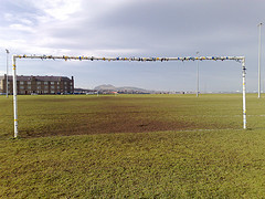 MussieRoversFC's profile picture. Come and support your new local team