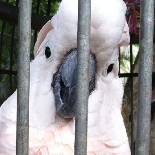 dumpyjane's profile picture. Woke be gone!