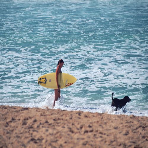 RogerKing20's profile picture. I am a Web Designer, I love cooking