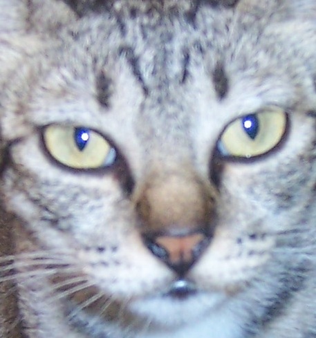 woasis's profile picture. 