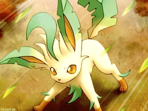 im leafeon my trainor is @kiddojase, lv.75 i know the moves leaf blade, solar beam, synthesis and grass whistle, i can be very shy ^_^ ((RP))