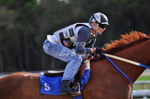 ivan5535's profile picture. Interesados en nuestros servicios 
tapiceriaivan@aol.com 
Teléfono: 787.595.0933