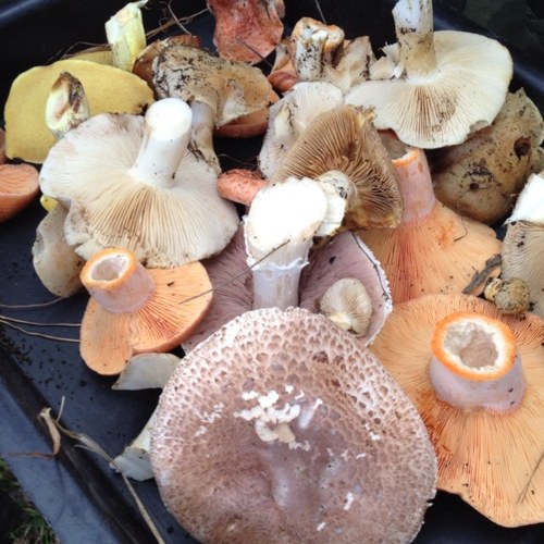 PatrickMaris's profile picture. 