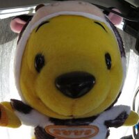 がぶ☆彡△ (@gabu1973) 's Twitter Profile Photo