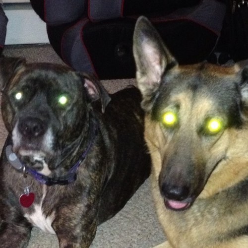 snee1961's profile picture. 