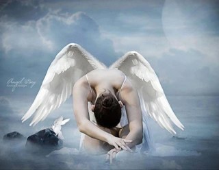 annfm56's profile picture. Reiki Practitoner, Angel Reiki Practitioner, Crystal Healer, Life Coach, Lover of Angels. Travel, gardening, a good cocktail and  lovely wine.