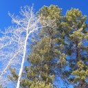 Sidney Holcomb - @shholcomb - Twitter