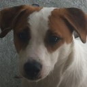 Michael Winzer - @DonMonoMan - Twitter