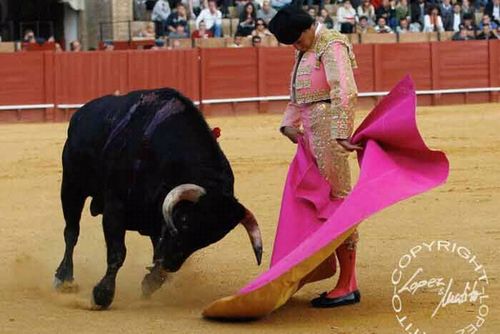 alvaro odero lopez sanlucar de barrameda