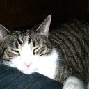 Nancy Frick - @nancylfrick - Twitter