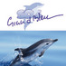 SOS Grand Bleu (@sosgrandbleu) Twitter profile photo SOS Grand Bleu (@sosgrandbleu) Twitter profile photo