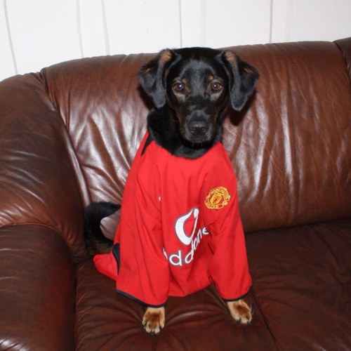 PerG_Solheim's profile picture. 