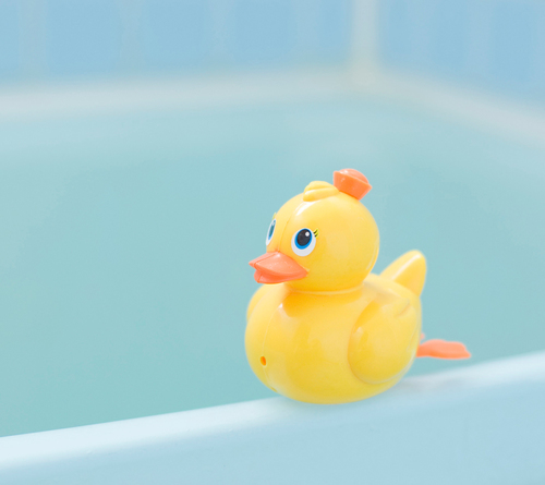 sashimisoni's profile picture. 