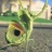 aheadinc4all's profile image