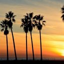 Derek Gorman - @derekmgorman - Twitter