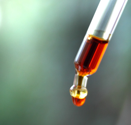 PropolisImker's profile picture. Porpolisproducten van uitsluitend Nederlandse propolis. Voor een mooie huid, antibacterieel, tegen virussen en schimmels. Natuurlijk antibioticum.