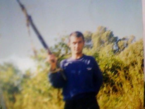 güvercin