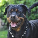 Sandra Das - @SandraDas1 - Twitter