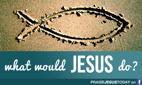 AccProblem's profile picture. Apostolic Christian Church. #TeamJesus this account is not directed at anybody specific and based on the fact that we need to learn to laugh a little.