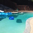 Terri Ritchie - @terriritchie3 - Twitter