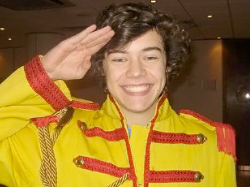 Preucura-se um gato ele se pare-se com ele : @NiallOfficial , Quem achar ele ganha á @onedirection