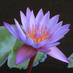 Debra Kuffner (@dkuffner) Twitter profile photo Debra Kuffner (@dkuffner) Twitter profile photo