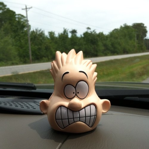 stewieshits's profile picture. Carwash Sales